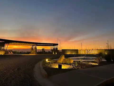 DON BOSCO Y RUTA PROV. 50