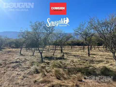 Terreno en venta - merlo san luis