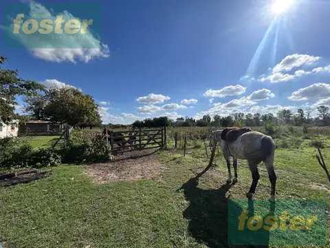 Campo en Venta en Cañuelas