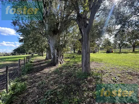Campo en Venta en Vicente Casares, Partido de Cañuelas