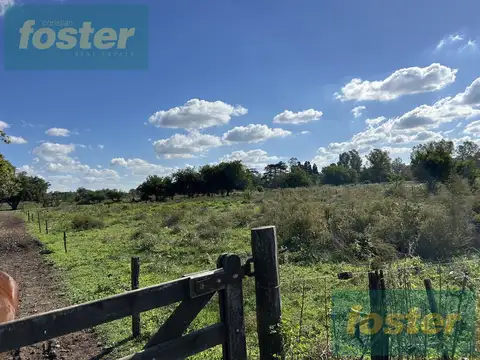 Campo en Venta en Cañuelas