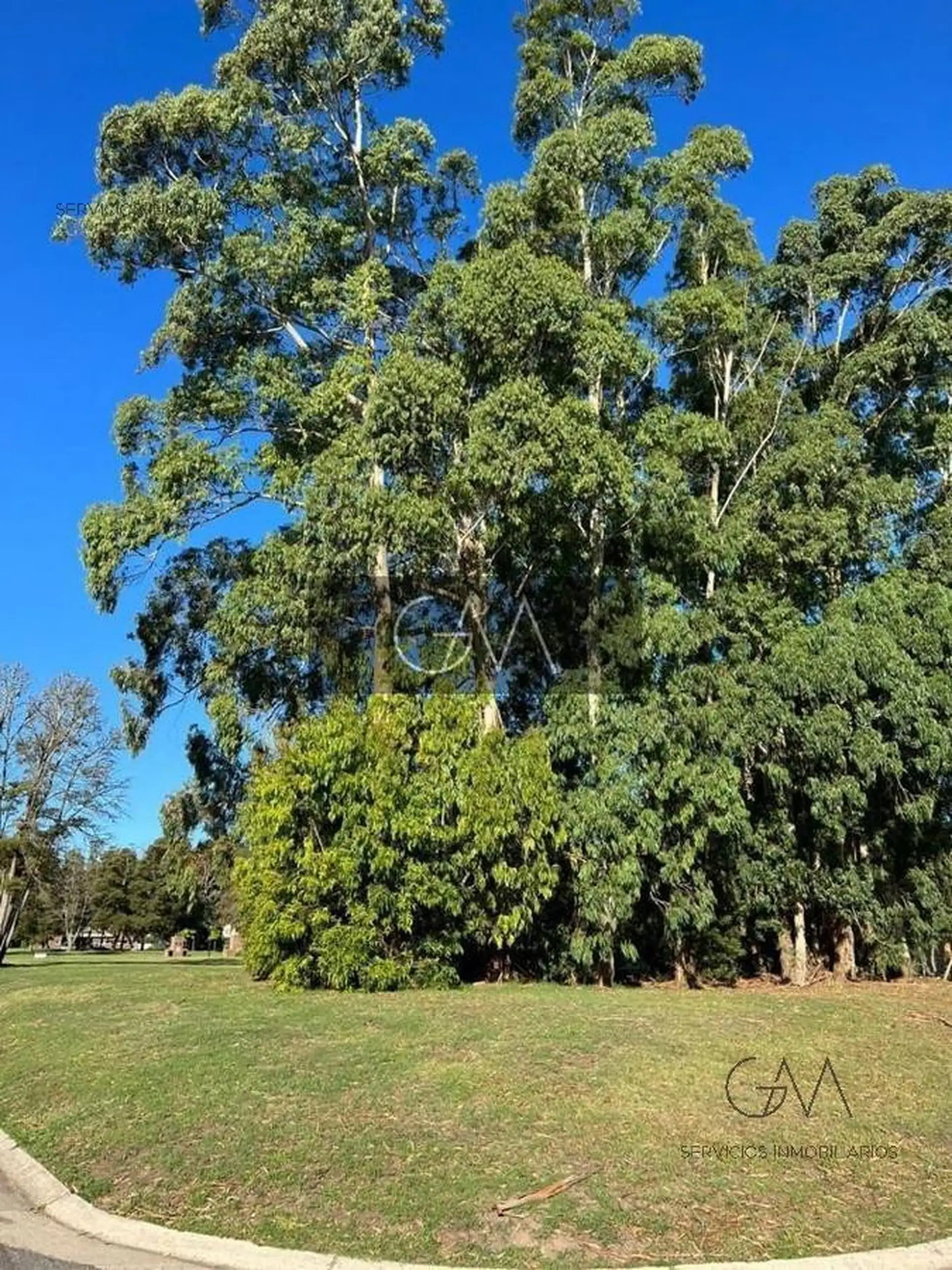 Lote en venta en las prunas