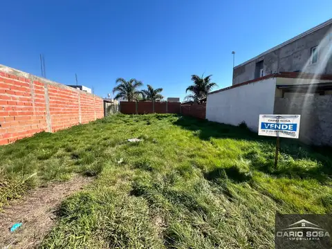 chaco 600