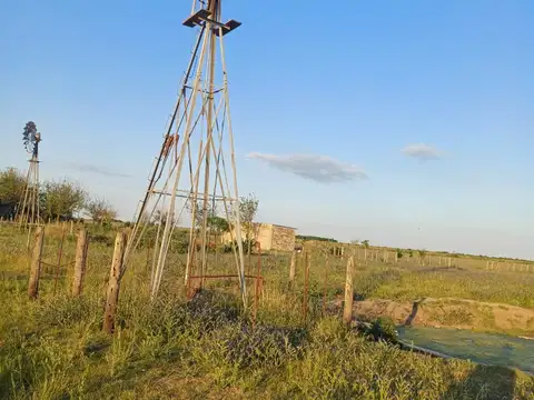 Campo en Venta de 40  ha