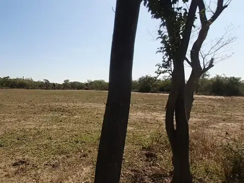 Terreno en Venta en Alejandra, USD 20.000