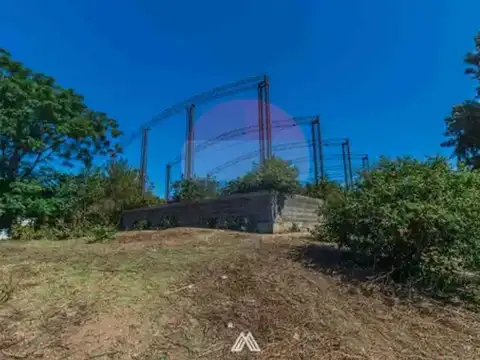 Camino Alianza 17000