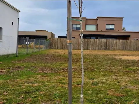 Terreno Lote  en Venta en Santa Elisa, Pilar del Este, Pilar