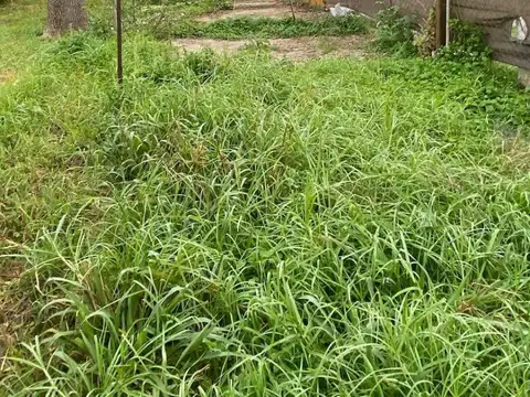 Facundo Quiroga y Av. Bernardo Houssay