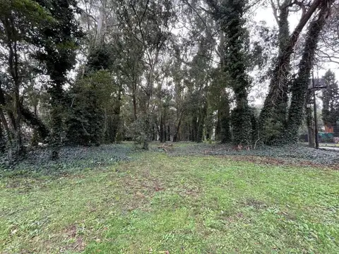 Terreno en Venta en Mar del Plata, USD 58.000