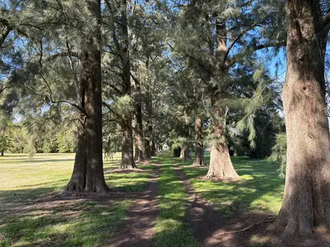 Barrio Privado Las Vizcachas