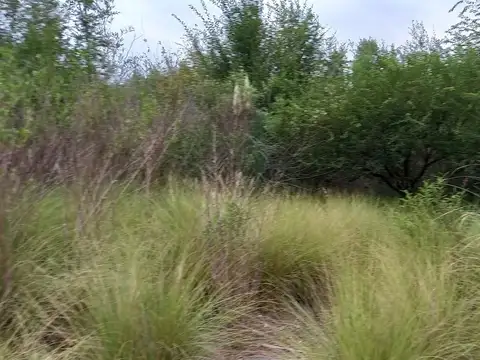 Terreno en Venta de 3164,0 m2