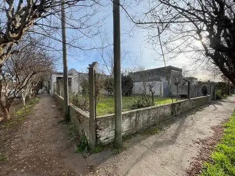 ALFONSINA STORNI 200