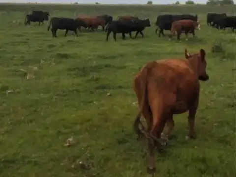 Campo en venta - 11.870.000mts2 - Entre Ríos