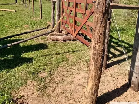 Campo en Venta en Gualeguay, Entre Ríos