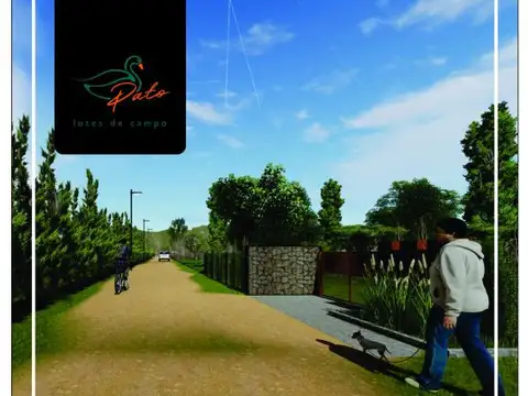 VENTA DE  LOTES DE CAMPO DE  EN LOS MOLLES - SAN LUIS