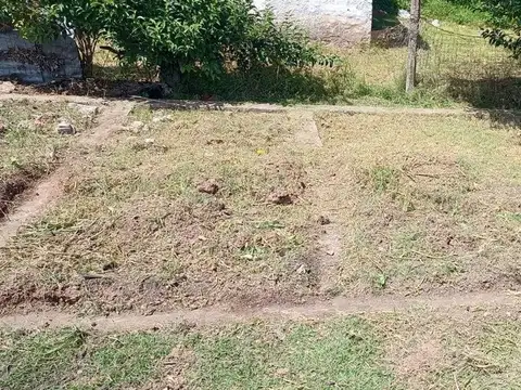 Tenientes de Artigas y Av de Las Americas