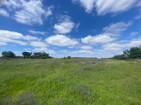 Venta Terreno en Coronda de 10.000m2