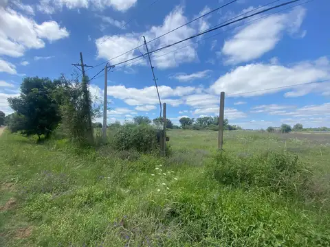 Terreno en Venta de 10000,0 m2