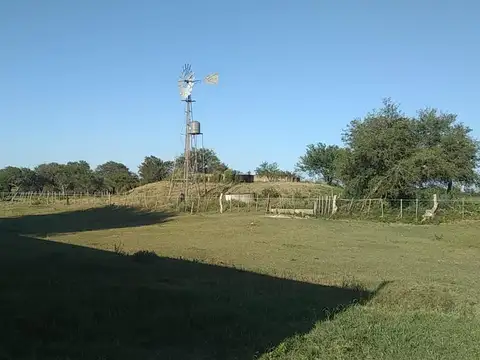 Ruta 26 100