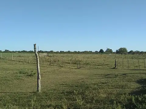 Ruta 26 100