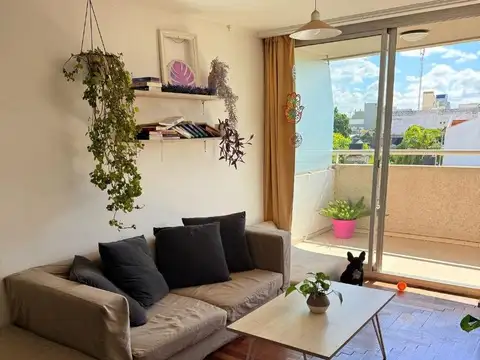 ALQUILO DEPTO EN ALTA CORDOBA