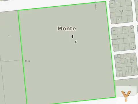 Campo en venta - 14 Hectáreas - San Miguel del Monte