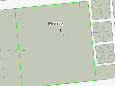 Campo en venta - 14 Hectáreas - San Miguel del Monte