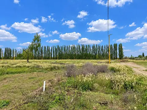 Terreno en Venta de 250,0 m2
