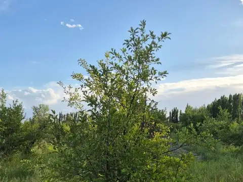 Ortizana (entre calles el Vencedor y el Moro)