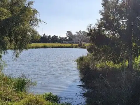 Terreno en Venta de 1009,0 m2