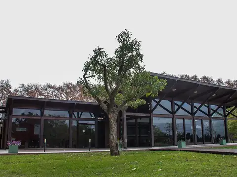 Terreno en Venta de 998,0 m2