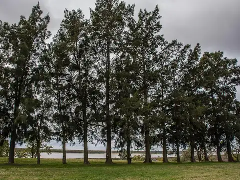Terreno en Venta en Fighiera, USD 99.900