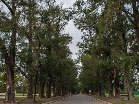Azahares del Paraná, Terreno en Sector Ribera localidad de Fighiera