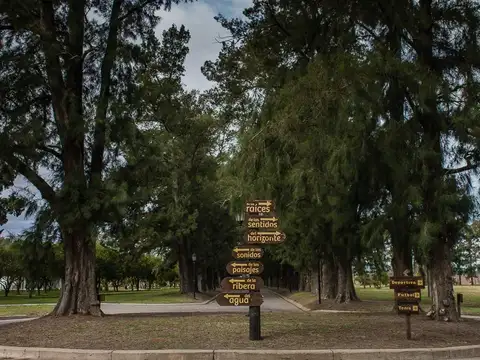 Azahares del Paraná, Terreno en Sector Ribera localidad de Fighiera
