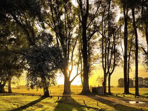 Terreno en Venta en Carlos Keen, USD 45.000