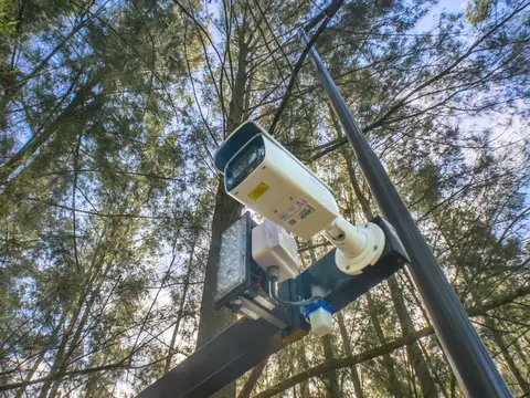 Sargento Cabral 5600