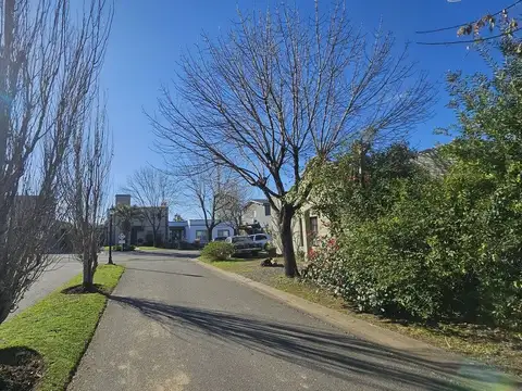 Ricardo Castiglioni 1500