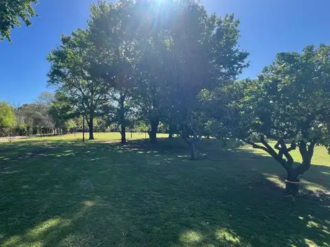 Terreno en Venta de 4455,0 m2