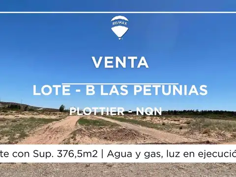 Venta lote en esquina las petunias plottier