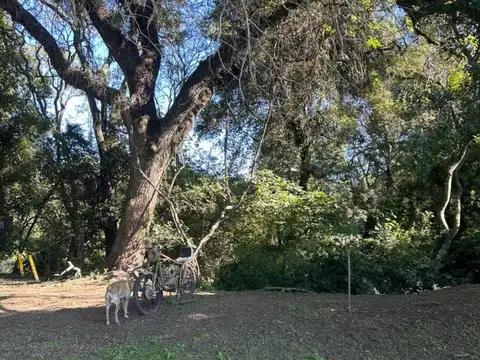 Terreno en Venta de 522,0 m2