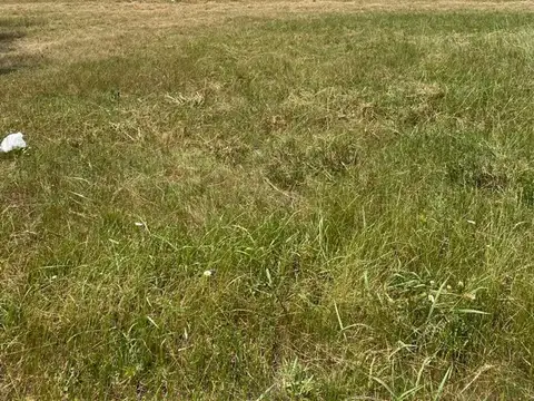 Terreno en Venta de 1002,0 m2