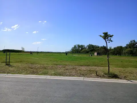 Puertos Barrio Nativas