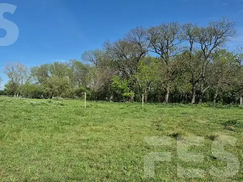 EN VENTA 1HA CON VIVIENDA Y GALPON APTO CREDITO IDEAL PARA DESARROLLO TURISTICO O LOTEO A LA VENTA