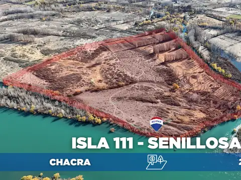 Venta chacra de 25,69ha en isla 111, senillosa