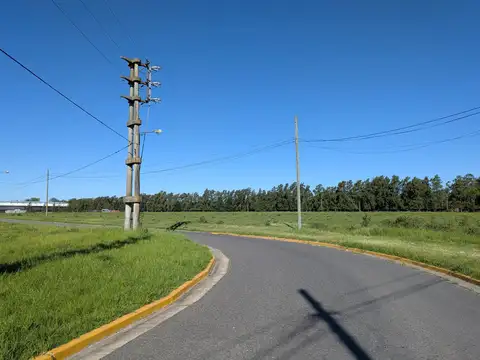 Venta de lotes en Parque Industrial Campana