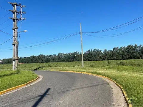 Ruta 9 KM 70 Fraccion V Lote 16a
