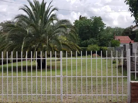 Los Tilos 400