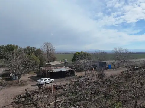 Finca en venta corredor productivo ruta 99 Tupungato, Mendoza