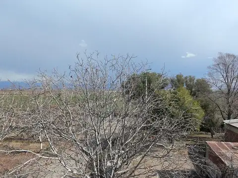 Finca en venta corredor productivo ruta 99 Tupungato, Mendoza