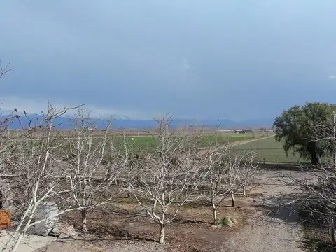 Finca en venta corredor productivo ruta 99 Tupungato, Mendoza
